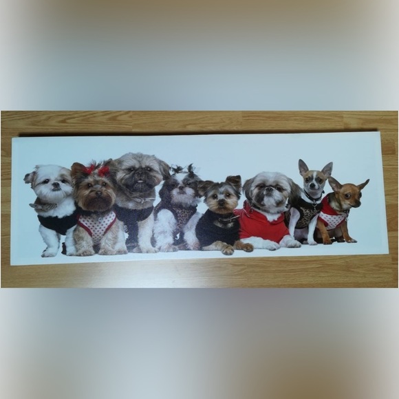 Charming Canine Photography Art Print - Picture 1 of 2